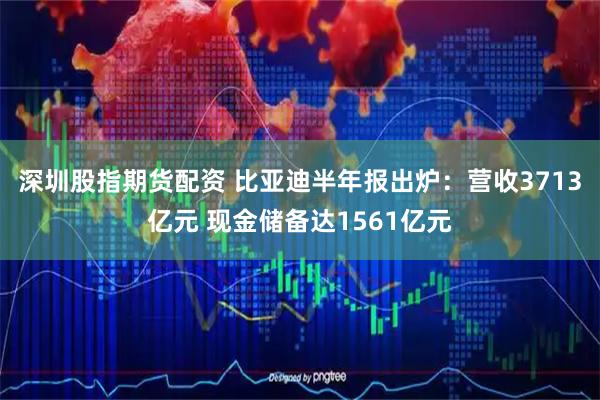 深圳股指期货配资 比亚迪半年报出炉：营收3713亿元 现金储备达1561亿元
