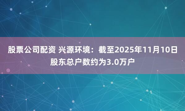 股票公司配资 兴源环境：截至2025年11月10日股东总户数约为3.0万户
