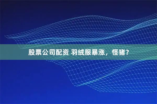 股票公司配资 羽绒服暴涨，怪猪？